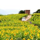 부천로354번길 이미지