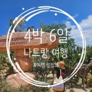 정인목장 | [7월 나트랑] 4박 6일 베트남 나트랑 여행 일정