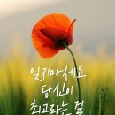 플로체 이미지