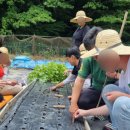 (주)드림팜 이미지