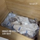 [4월W4] 내 작은 세계를 넓히기 (W17)