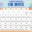 금산운수합자회사 | 국내여름휴가지추천 남해여행 설리스카이워크 상주은모래비치 갯벌