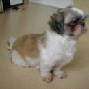 박철환동물병원 이미지