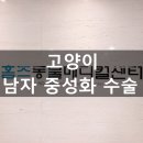 홈즈 동물병원 이미지