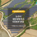 태영태양광발전소 이미지