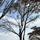 피티엠아이티 이미지