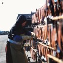 일출과메기 이미지