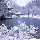 김연숙헤어 이미지