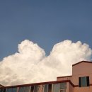 세강당한의원 이미지