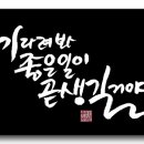 종배 이미지