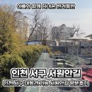 애견취향 | 인천 서구 애견동반카페 대형견 가능 애견동반식당 서원안길 방문후기