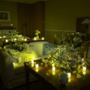 제주퍼시픽호텔 이미지