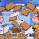 용인-수지-1 이미지