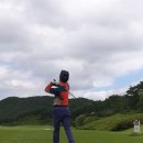 영규농장 Daum카페