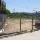 멍멍하우스 이미지