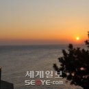 구산항위판장 세계일보