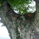 두곡마을 이미지