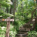 만인산자연휴양림 이미지