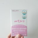 웰라핏 이미지