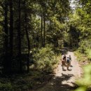 스위스여관 이미지