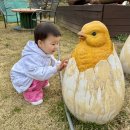 가-26 | 향남 몬몬이야 카페｜화성 아이랑 가볼만한곳 26개월 아기 후기