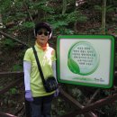 황범식 카카오 검색결과