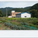 팔현2리 마을회관 이미지