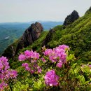 기체육공원 이미지