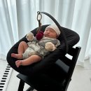 트랩 | 트립트랩 블랙 후기 (뉴본, 베이비세트, 블랙 커버까지 총정리)