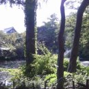 사랑반점 이미지