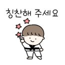 용호태권도 이미지
