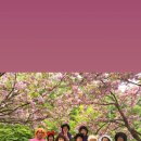 가고픈 둥지펜션 이미지