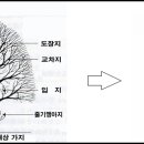 도장지(상향지), 하향지, 내향지(역지), 경쟁지(평행지)는 무조건 전지 이미지