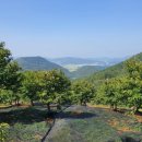 은골농장 이미지