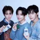 알파그린 이미지