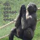 정현고등학교 | 2026년의 3분의 1이 지나갔네요
