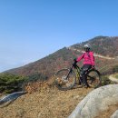 예산 임존성- 봉수산 - 내포문화숲길- 예당호-예당호출렁다리- 이미지