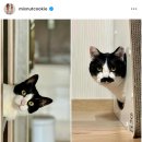 시오루