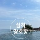 2박 3일 강원도 삼척 여행 2일차[장호항/도계 유리나라/삼척대게본점]