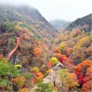 ◆ 다시가고 싶은 고추장보다 빨간 전북 순창 강천산(剛泉山)◆ 이미지