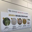금회세꼬시 | 충남 아산 배방 찐맛집 추천 자연산해산물 전문점 금회세꼬시 룸식당 후기