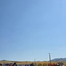 새한개량한우목장 | 서산 한우목장길 후기｜벚꽃 시즌 힐링 명소 산책길