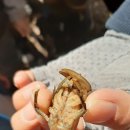 아이마을 어린이집 이미지