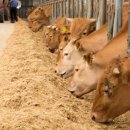 제언농장 이미지