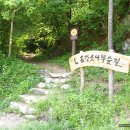 대광천(1) 이미지