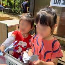 세움어린이집 이미지