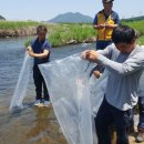 남원종자 이미지