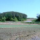 도덕1리 이미지