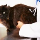 산청동물병원 이미지