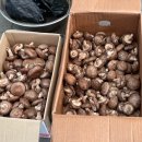 양양전통시장 이미지